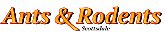 Scottsdale Ant Exterminator & Rodent Control Company Logo